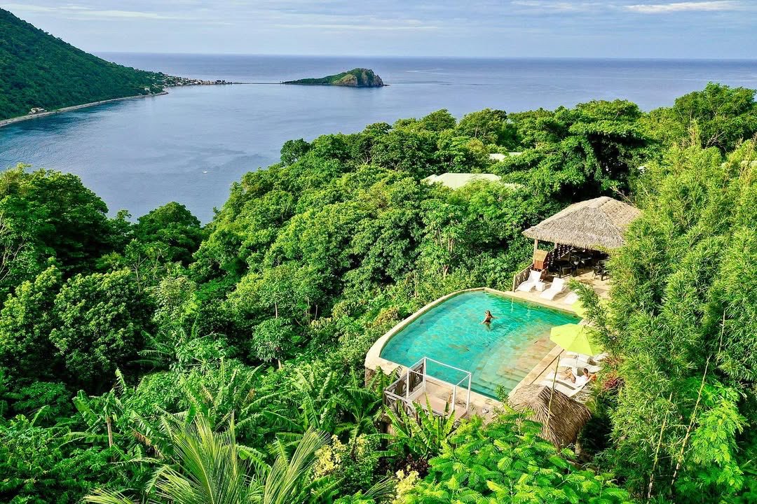 While our infinity pool offers ocean views and epic sunsets, Jungle Bay Dominica’s garden pool provides a hidden sanctuary where the mountains meet the sea 🌿 Learn more at JungleBayDominica.com 

📸 by guest Niall T.