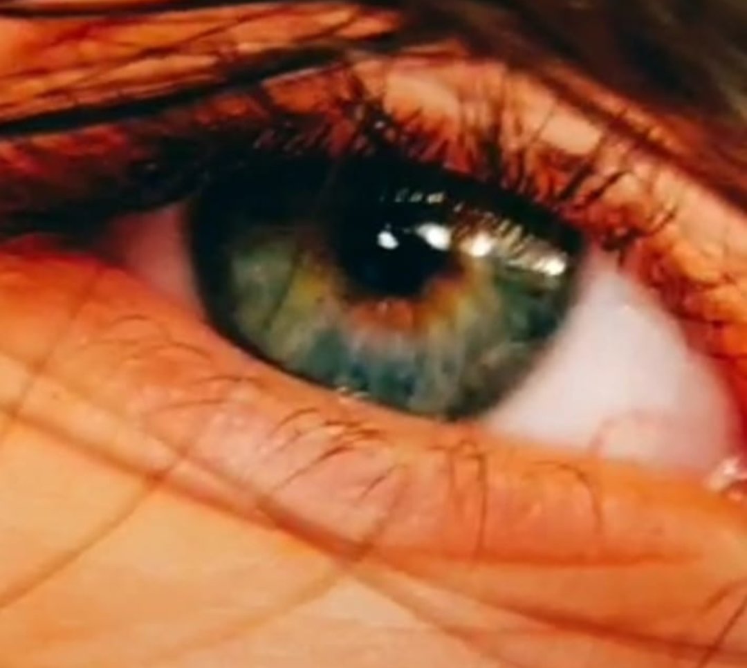 Wish Vendor's Wife (@mswishvendor) on Twitter photo 