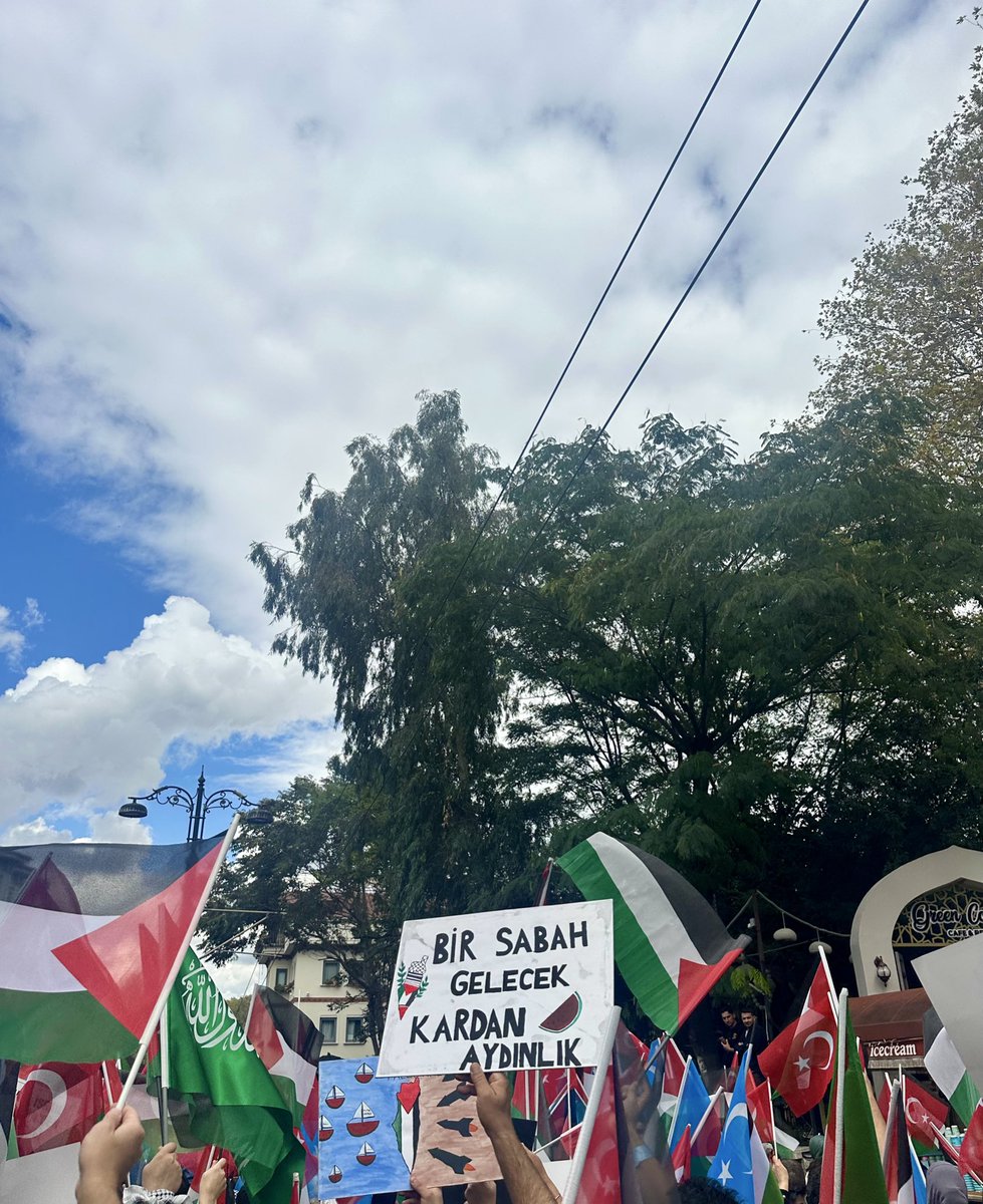 #GazaGenocide #FreePalestine