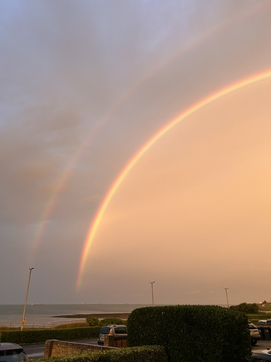 Sara Turle 💙 tweet media