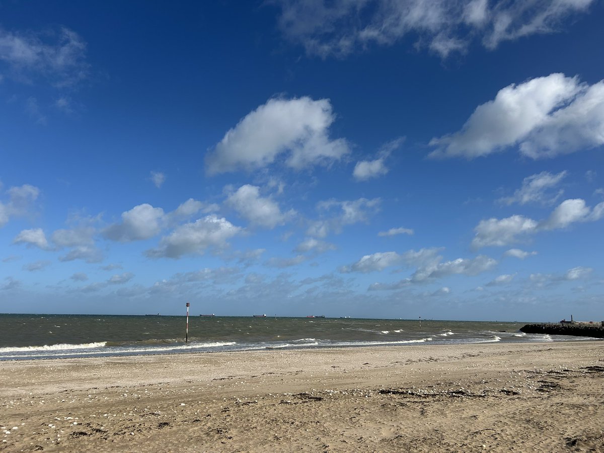 Sara Turle 💙 tweet media