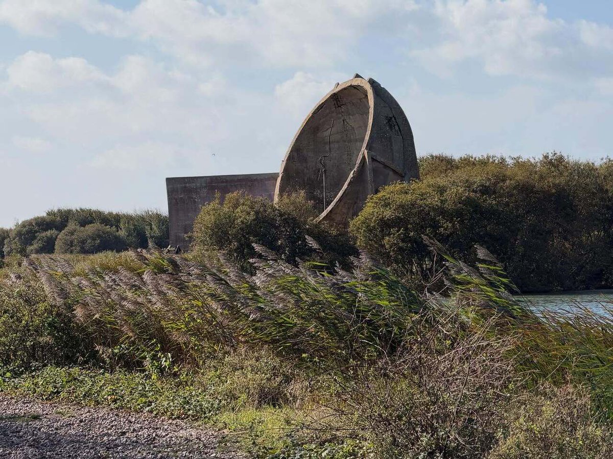 Timothy_Hughes's tweet image. Denge acoustic mirrors / sound mirrors - Dungeness #dungeness #kent #Lydd #southeastcoast #england #folkestone #denge #listeningears #acousticmirrors #earlywarningsystem #earlywarning #rspb #raf #gravelpit #airdefense #airdefencesystem #ads #beach #dunge… instagr.am/p/DPb7EXuCBwz/