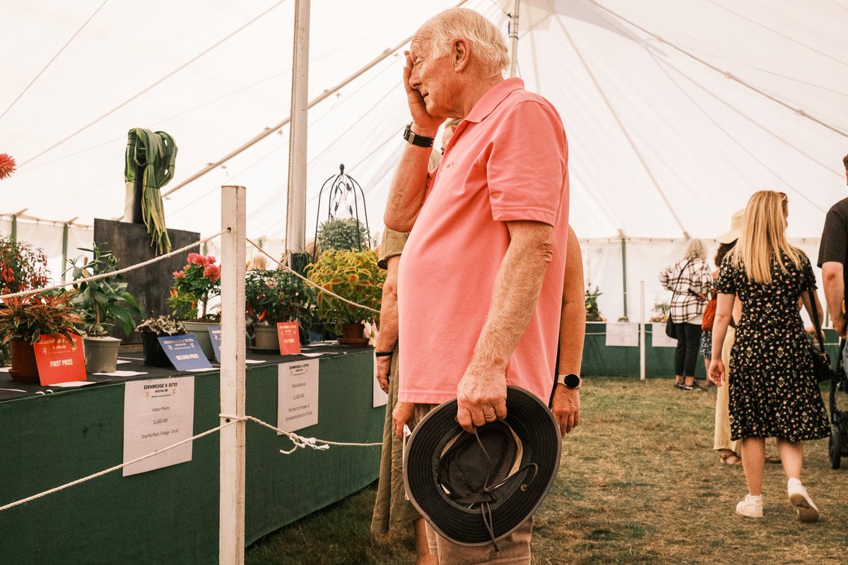 GonzoStreetPhotography tweet media