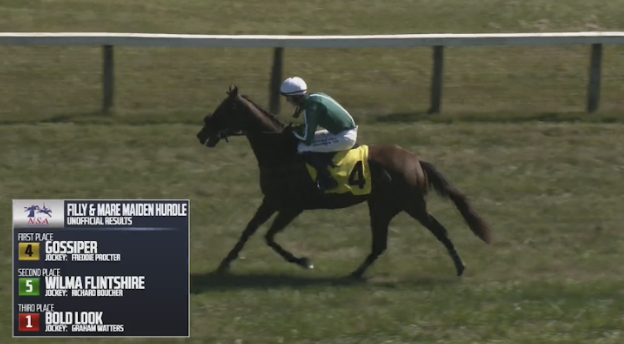USASteeplechase's tweet photo. Race 2 - Foxfield Result
1st Place: Gossiper
Owner(s): Adam Newman, Thomas Rice, and Stainbrook
Jockey: F. Procter
Trainer: Archibald Kingsley Jr.
#Foxfield https://t.co/K4FgmGLy2r