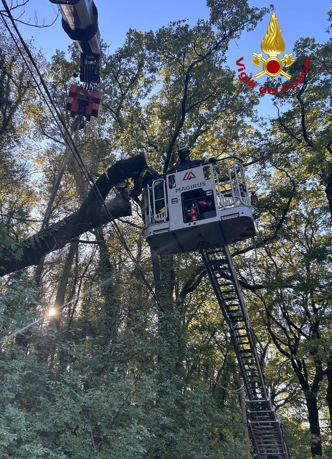 vigilidelfuoco's tweet photo. #Maltempo #FVG, 90 gli interventi svolti dai #vigilidelfuoco dalle prime ore del mattino: Trieste la provincia più colpita, per le forti raffiche di Bora sono state più di 50 le operazioni svolte dalle squadre (foto), la maggior parte per alberi caduti o pericolanti [#5ottobre 19:30]