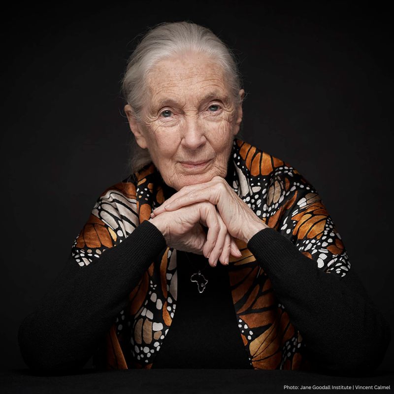 aquilaaquila's tweet photo. IUCN pays tribute to Jane Goodall
“Dame Jane Goodall will forever remain an icon of hope and an enduring inspiration to the global conservation movement,” said Mubarak, IUCN President. “She was a tireless advocate within our Species Survival Commission and as a Patron of Nature.” https://t.co/tcTLGDcazE