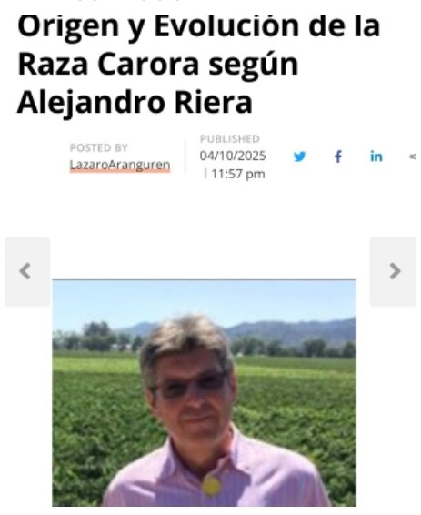 Asocrica tweet media