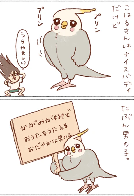 ムッチリボディなこはるさん

#オカメインコ 