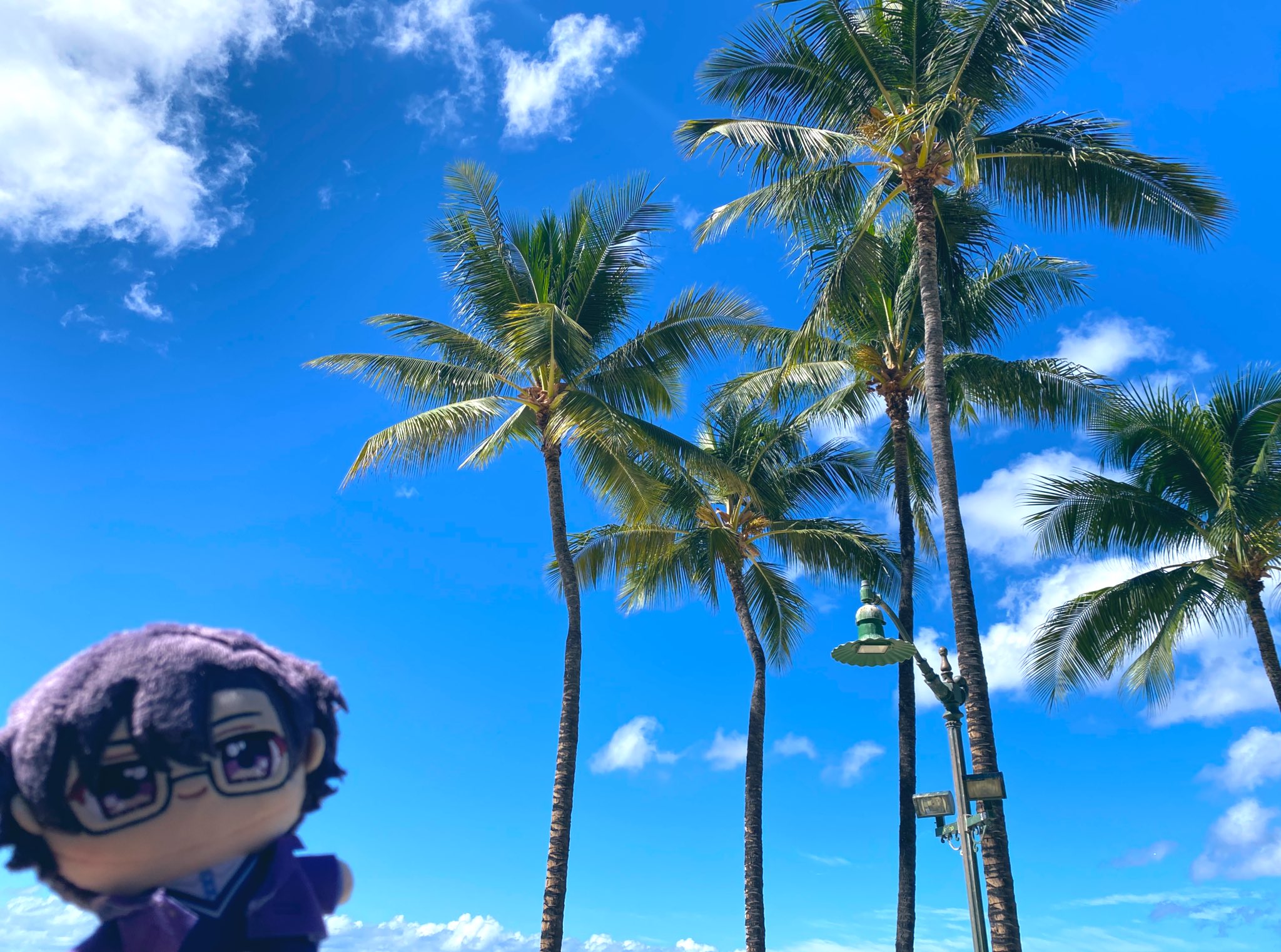 もふ。🍑からぴち (@mofukun_cp) / X