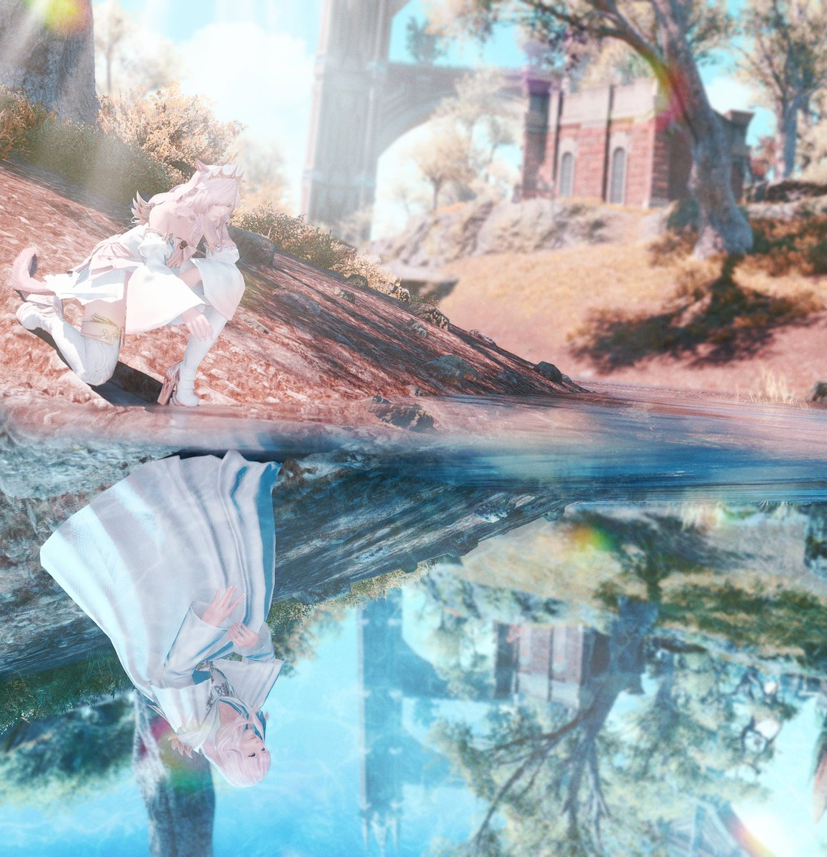 reflection