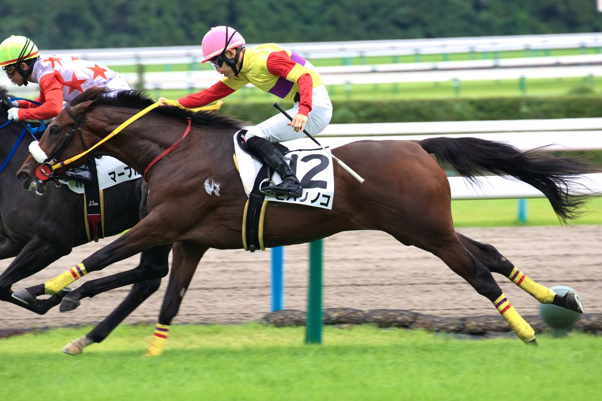 競馬の極み 浜防風 on X: 