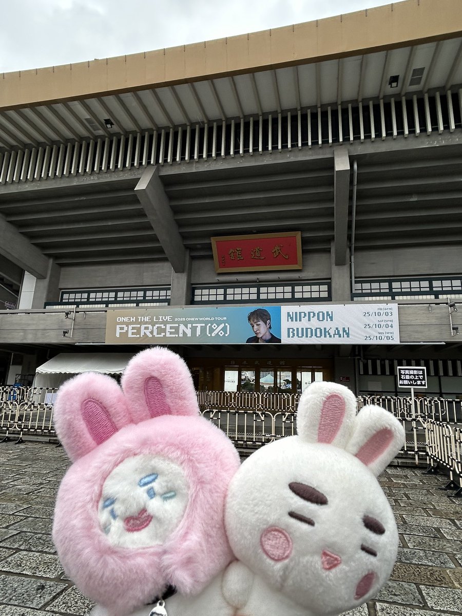 toko_pu's tweet photo. オニュ楽しかった〜🐰 https://t.co/HkBIJihiPs