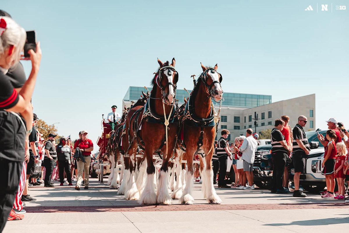 Shari Veil tweet media