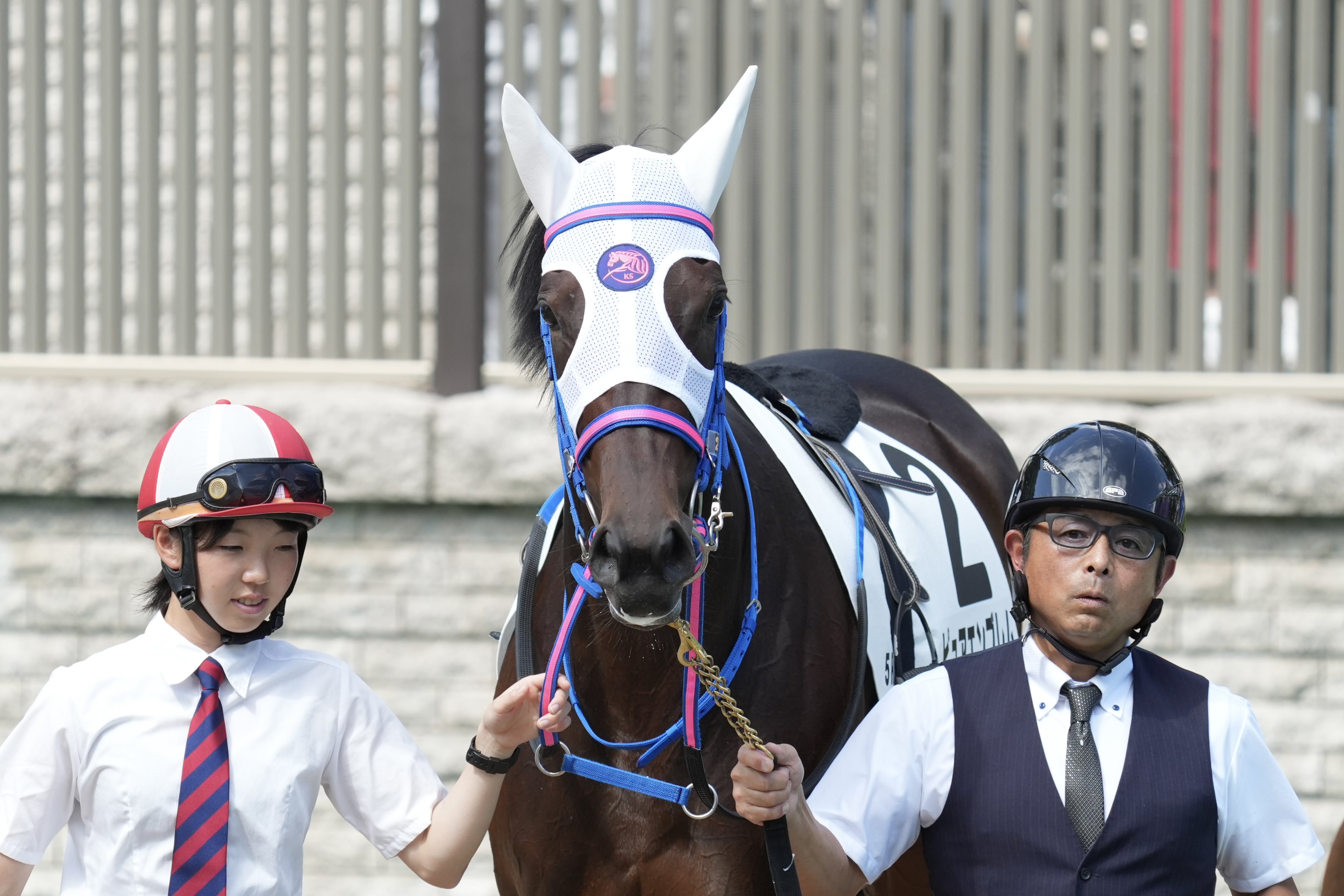 サトノダイヤモンド 新馬戦〜天皇賞・春２歳から４歳国内全１０戦現地単勝馬券セット こぐま on X: 