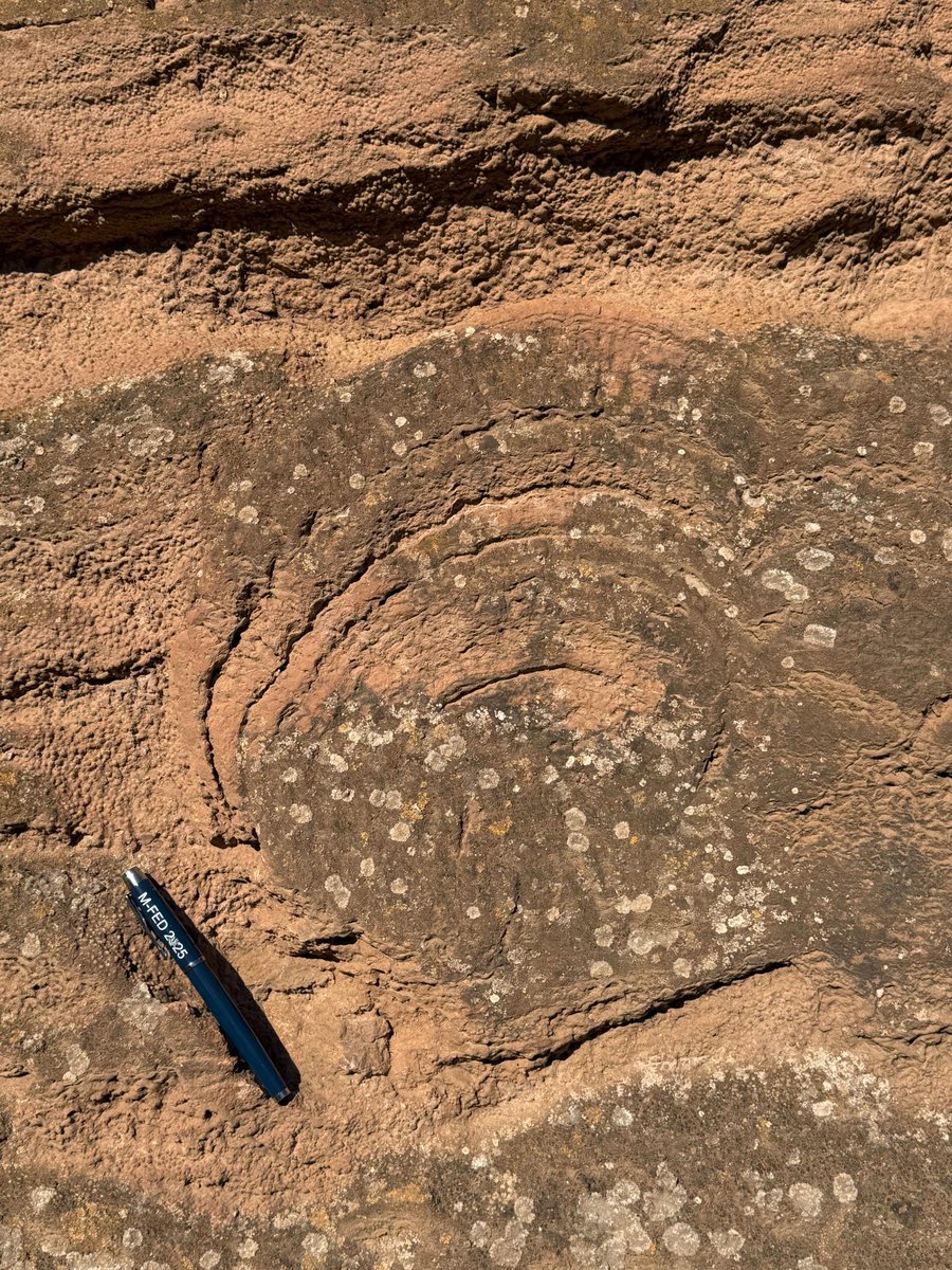 Federico Agustín Vignale tweet media