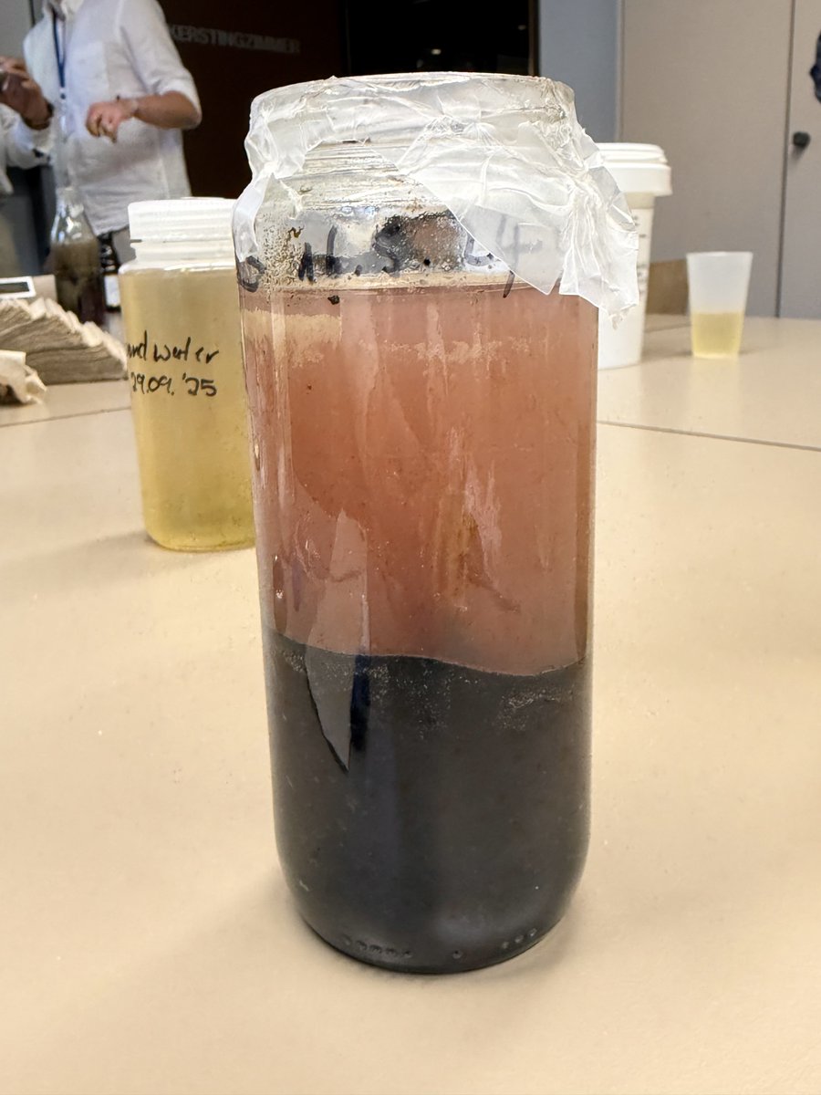 Last week I attended the M-FED 2025, where I presented the discovery of uncharacterized microbial ecosystems in the Central Andes 🌎 

I also joined the workshop “Grow your own microbial mat ” and we visited the UNESCO Geopark Heeseberg! ⛏️ 

A great week of microbialite science!