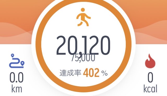 毎日よく歩く...