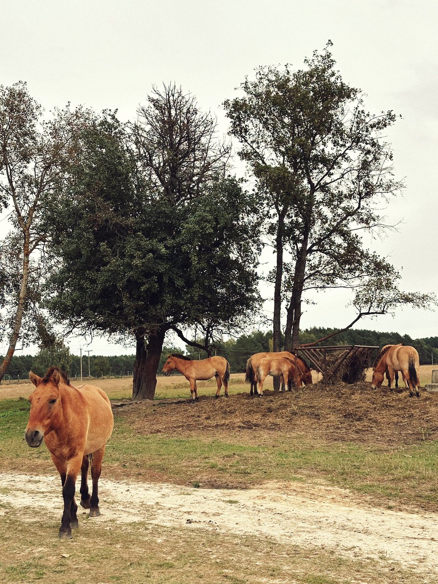 ти диви яка tweet media