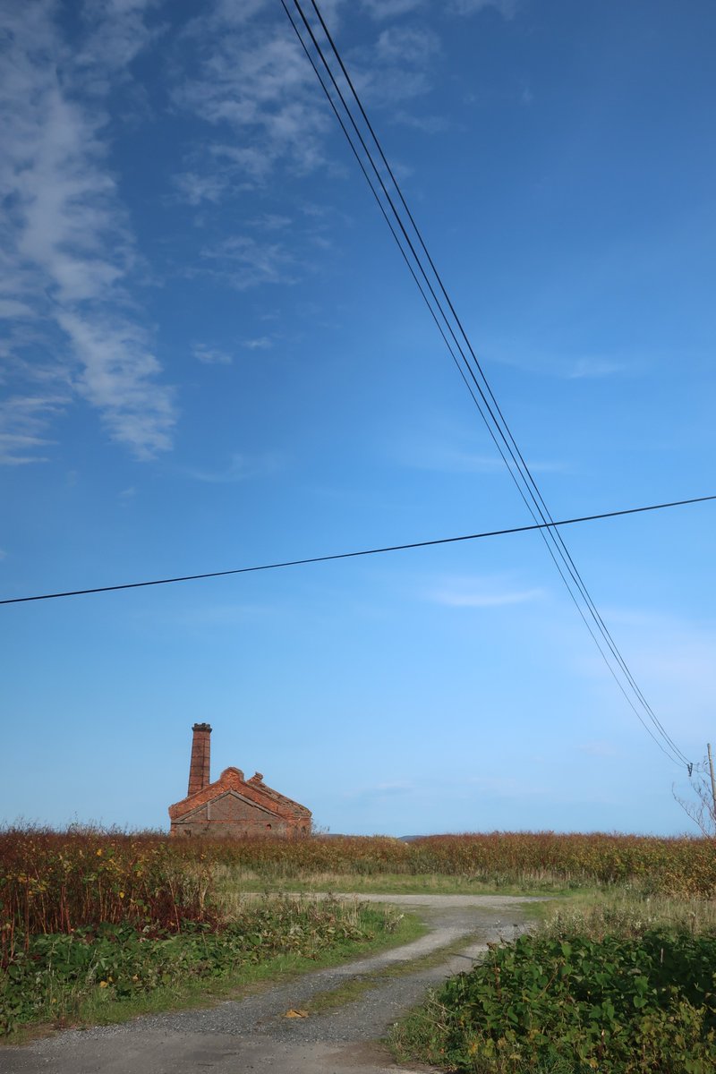 今日たまたま通りかかったバス停目の前の、とても心に残った風景。すぐバスが来ちゃったのであまりゆっくり眺められなかったけれど、またいつか。