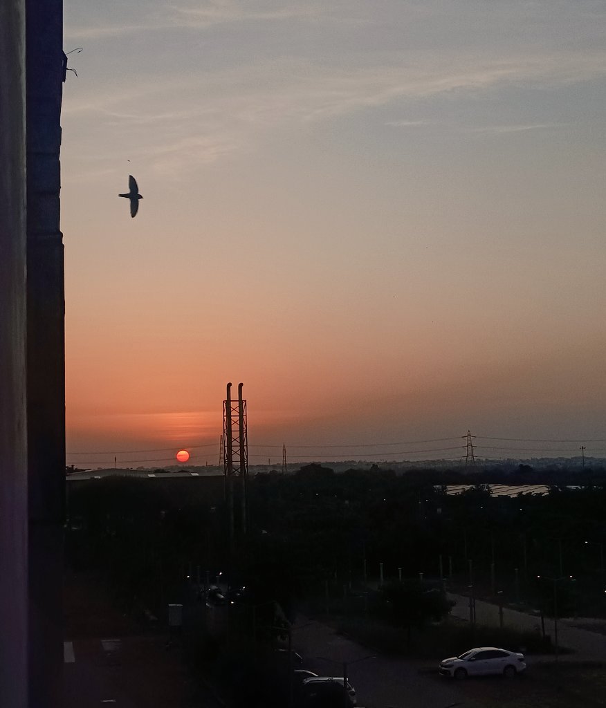 imbhaskarshukla's tweet image. ये मेज़ ये किताब ये दीवार और मैं
खिड़की में ज़र्द फूलों का अम्बार और मैं

हर शाम इस ख़याल से होता है जी उदास
पंछी तो जा रहे हैं उफ़ुक़ पार और मैं

~ ज़ुल्फ़िक़ार आदिल