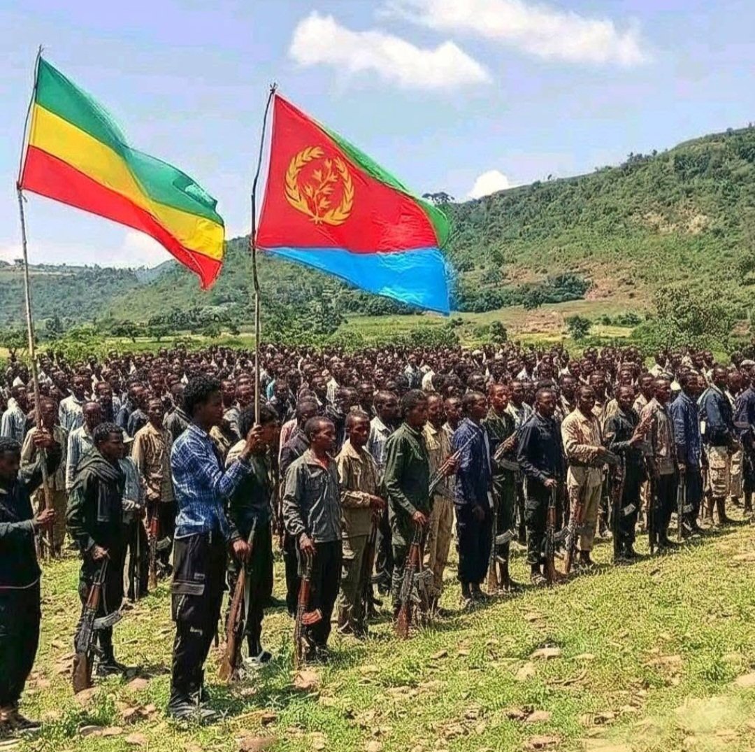 amen4Peace's tweet image. 🇪🇹 should set/take a serious measure that Alarm shabiya &amp;amp; it&apos;s puppy&apos;s to think multiple times before opening their vulgar mouth.

Also there must be consequence for interfering on 🇪🇹s internal issues.

#NoMore free #Privileges 
Better Opportunities must be #Earned not #Gifted
