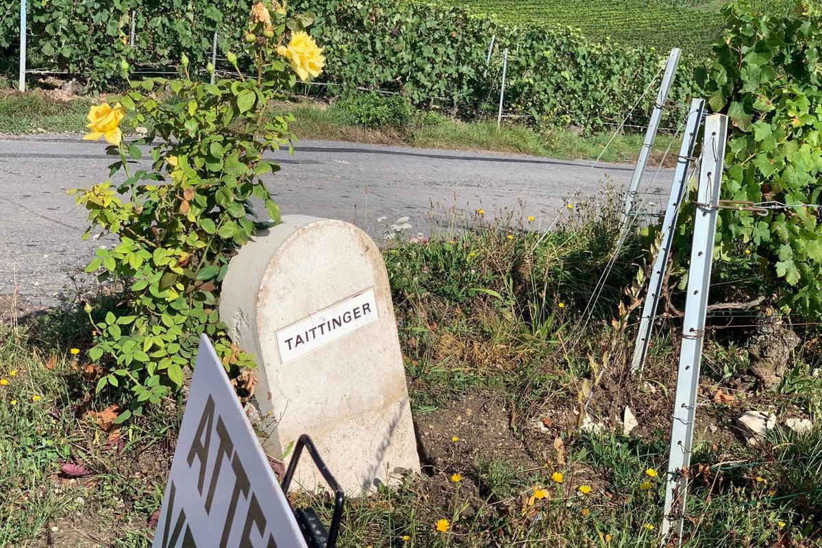 Max222228's tweet photo. #champagne #Reims https://t.co/NaRlL4OvBF