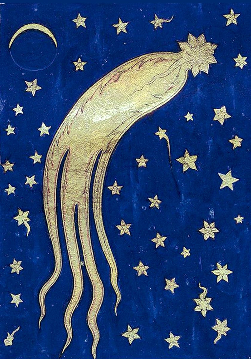 Plantagenet tweet media