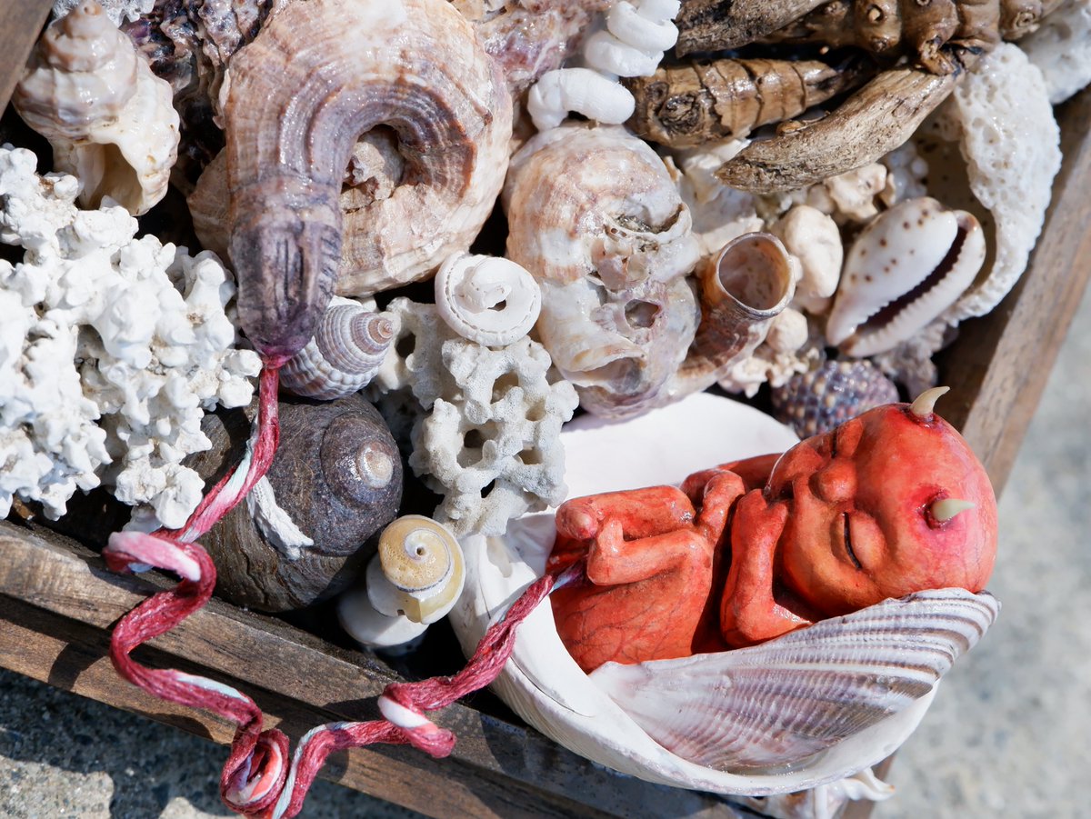 『源』タコシェさんにて展示中です👶

「人形会議 出版記念展」
 会期:2025年9/27(土)〜10/9(木)
時間:12時〜20時　水曜定休 
会場:タコシェ<a href="/tacoche/">タコシェ  TACO ché</a>

☆同時開催☆
 「人形会議 出版記念展」
 2025年9/23(火)〜10/12(日)
 火〜金18時〜23時
 土・日14時〜23時 月曜定休
 オンディーヌ<a href="/ondine0515/">Gallery Cafe&Bar オンディーヌ</a>