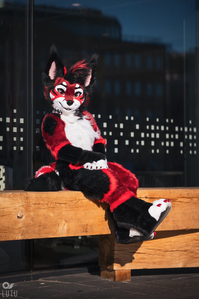 Eros (@erosfennec) on Twitter photo Sit. Sit.