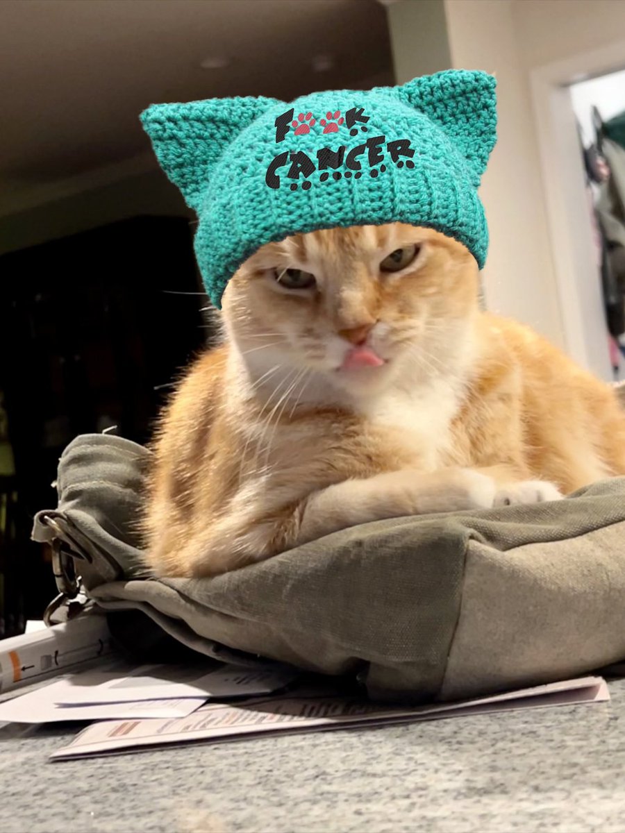 Cocoa, Dot & Checkers 🇺🇦🇺🇲#StrayStrong Ninjas tweet media