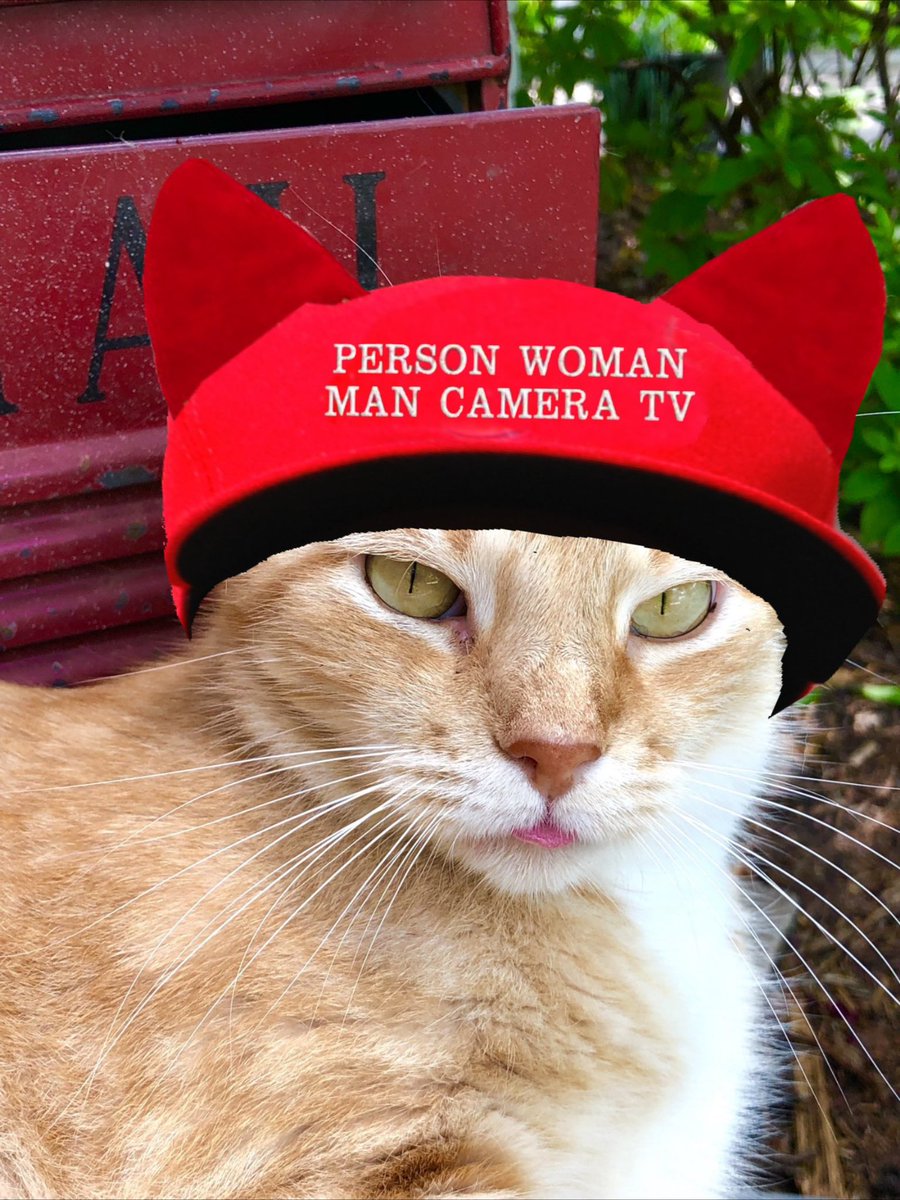 Cocoa, Dot & Checkers 🇺🇦🇺🇲#StrayStrong Ninjas tweet media