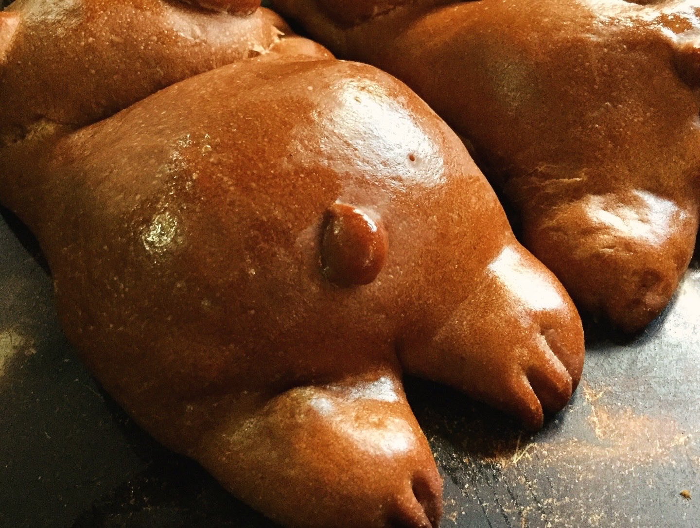 こねぱん 719IBkUfupL._UF894,1000_QL80_.jpg