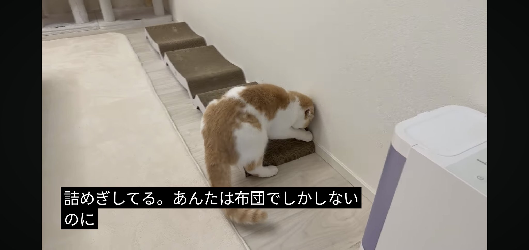 もちさまお取り置きのお品です お豆の里 あみがさ納豆もち（塩・砂糖）各3個セット の通販