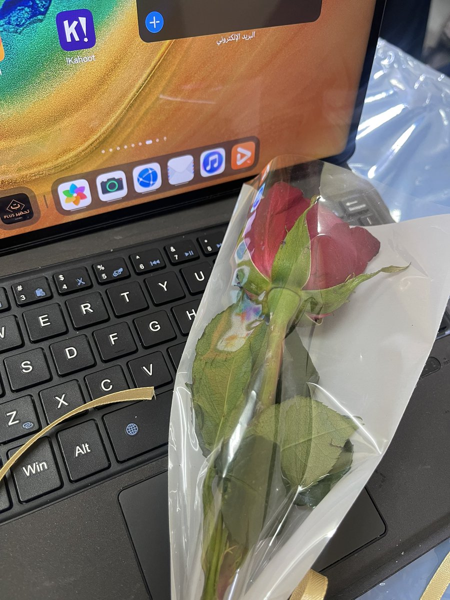 بسمة الصباح tweet media