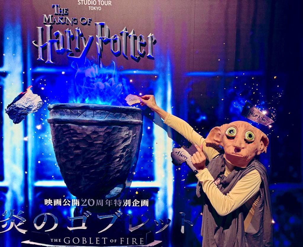 ハリーポッター様をお守りしたくて、、、
やるでございますぅぅぅ！！！

 #ハリポタツアーコスプレアワード