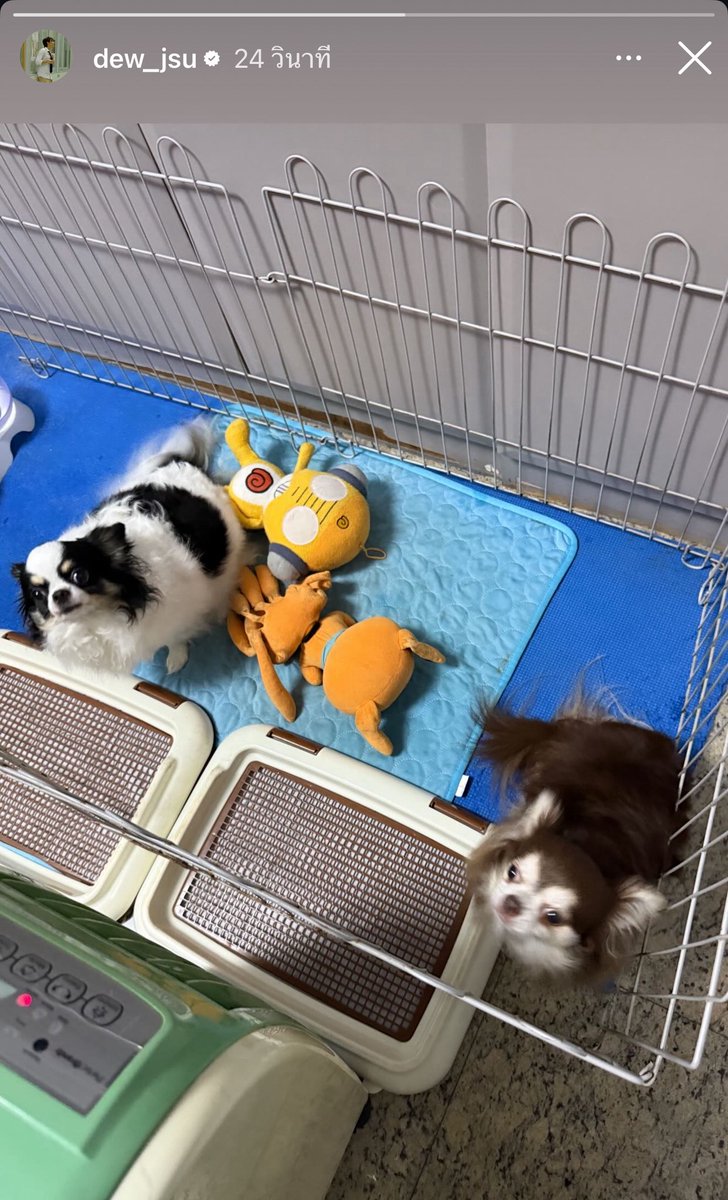 กรี๊ดดดดดด