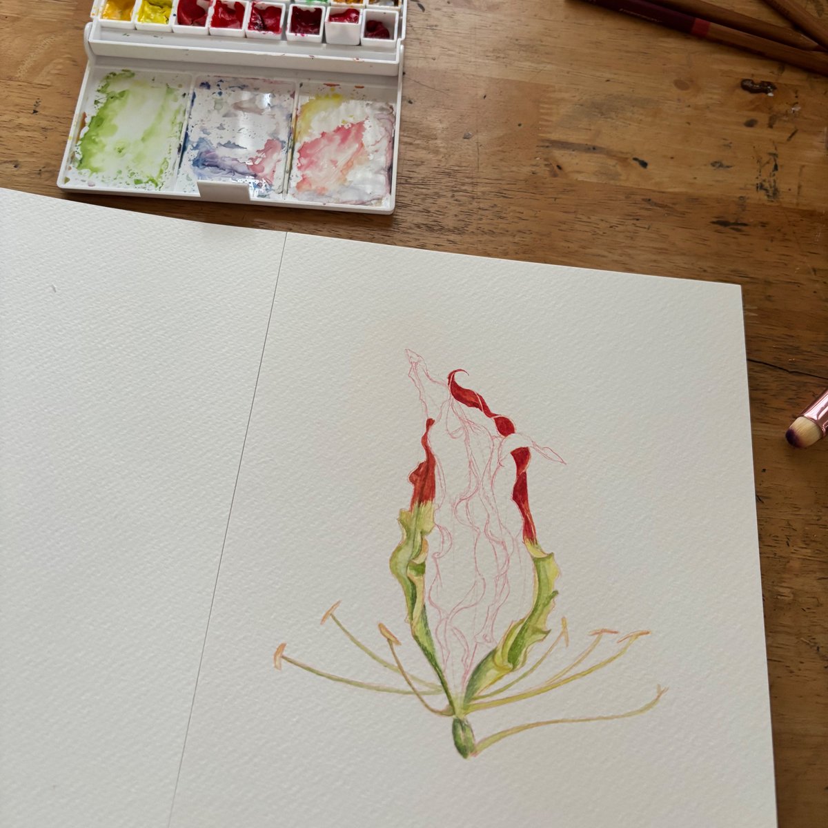 วันนี้เห็นรูปดอกดองดึงจากแอคเคาท์กรมอุทยานเลยลองวาดสีน้ำออกมาดู อยากลองไปวาดจากของจริงเลย😚