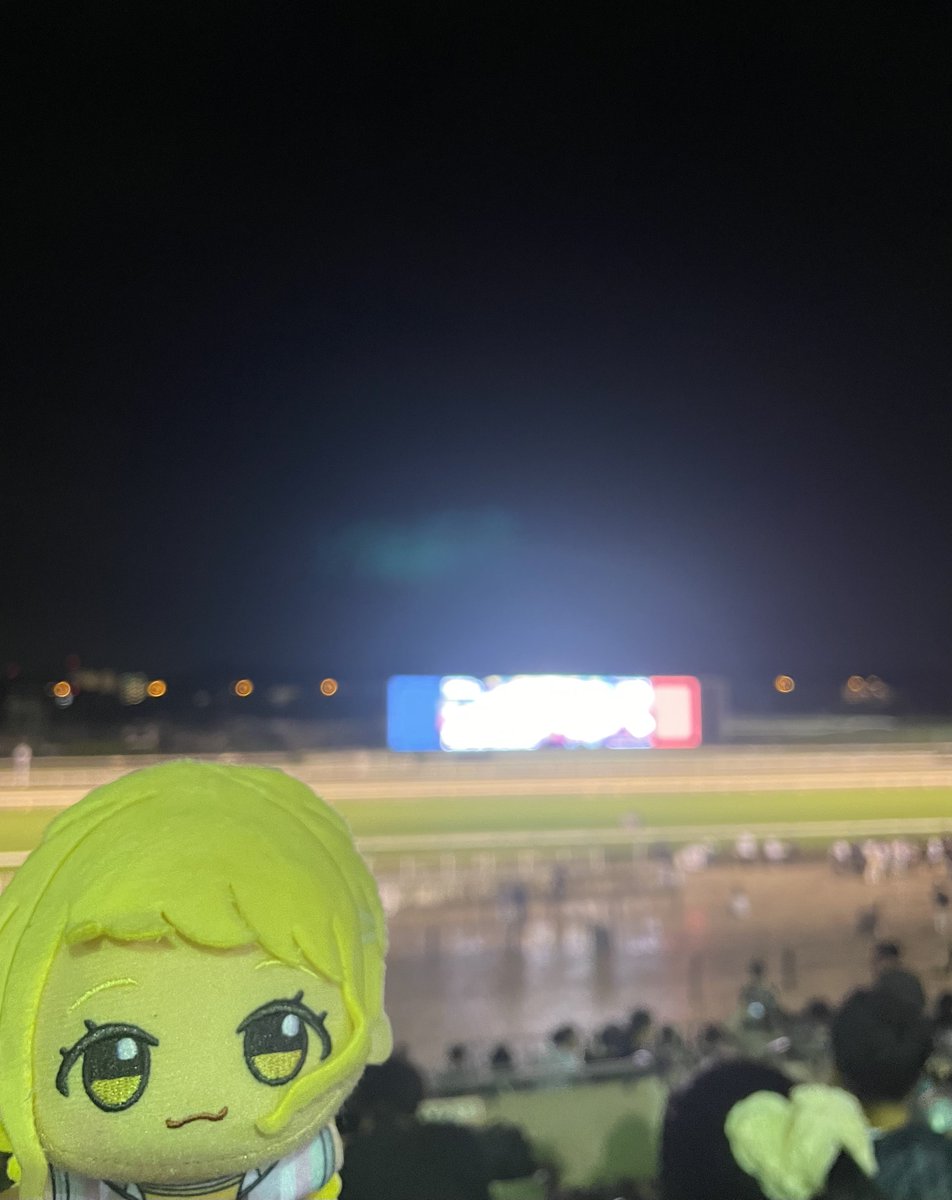 qlter's tweet photo. ことね、東京競馬場だよ https://t.co/QOFxnTHJkD
