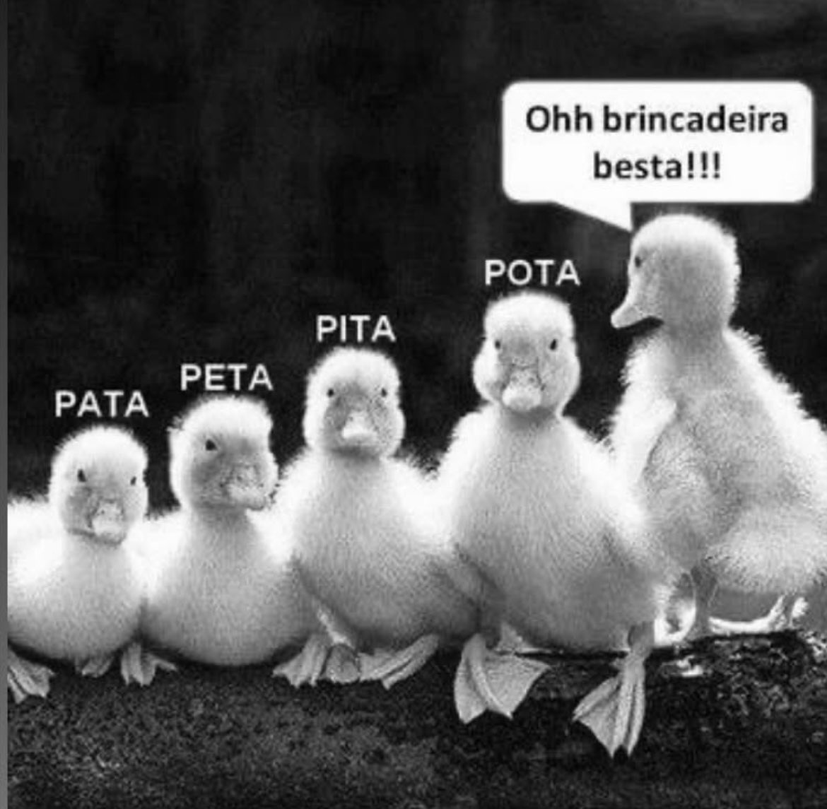 Brincadeirinha besta, mas bonitinha 🤣