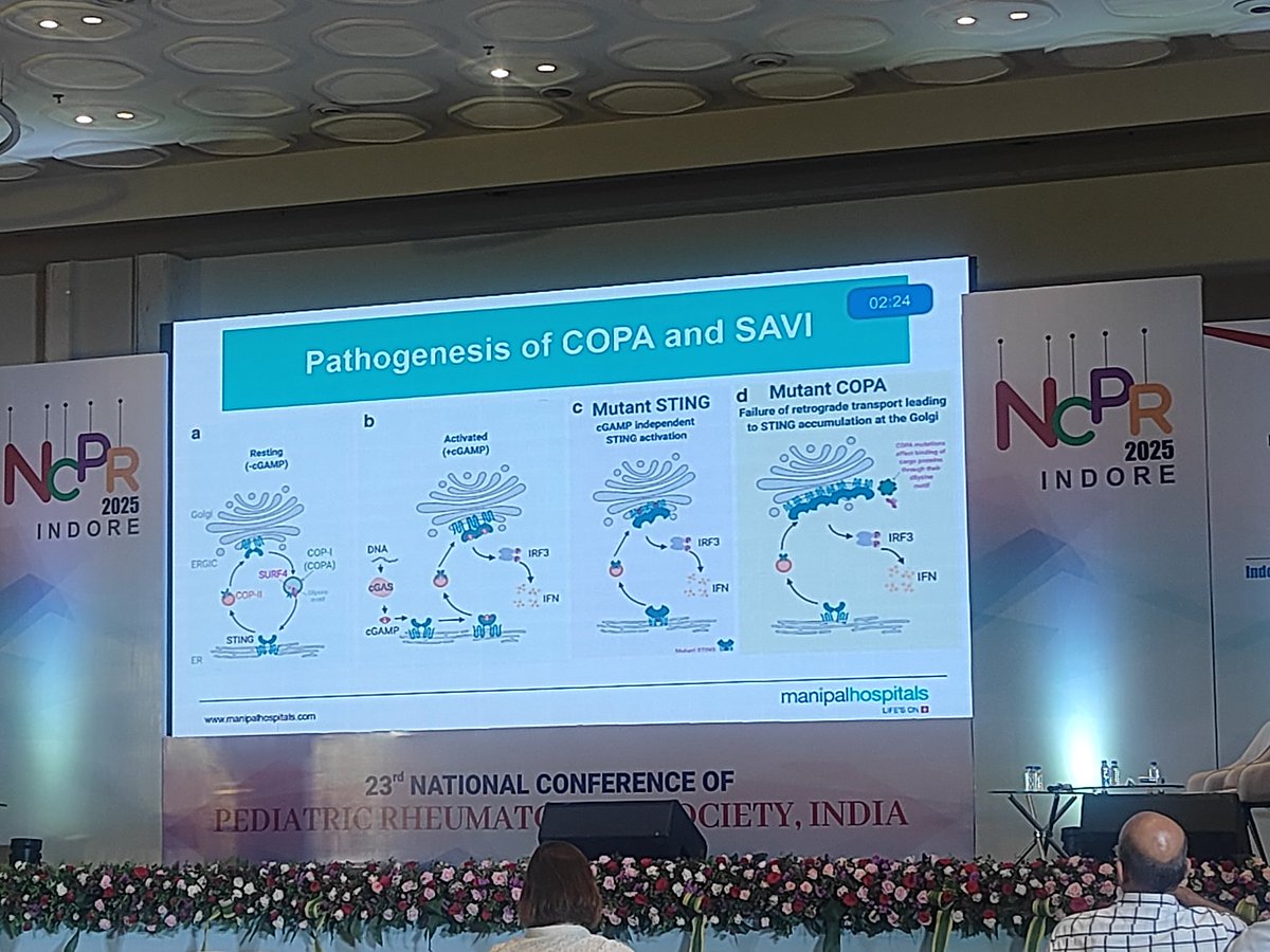 AbhibrotoKarma1's tweet photo. Wonderful talk by @DrAnkurJindal11 on #ILD in #pediatricrheumatology #sJIA #pathogenesis of #COPA #SAVI
Early onset less than 5 years,#trisomy21 ,#ferritin elevation,#MAS #drughypersensitivity #HLA-DRB1*15 beautifully presented at National Conf in Pedatric #Rheumatology Indore https://t.co/5r1DbFfhsG