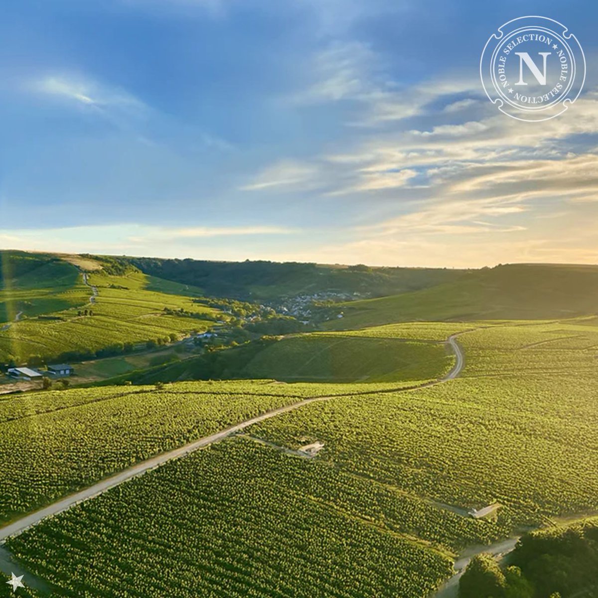 Sancerre lumineux signé Domaine Delaporte 

Le Chavignol Blanc 2024 offre agrumes, pureté et finesse.
Prévente à <a href="/LaSAQ_officiel/">lasaq_officiel</a> ici⟶ saq.com/fr/11349021
(code : 11349021)