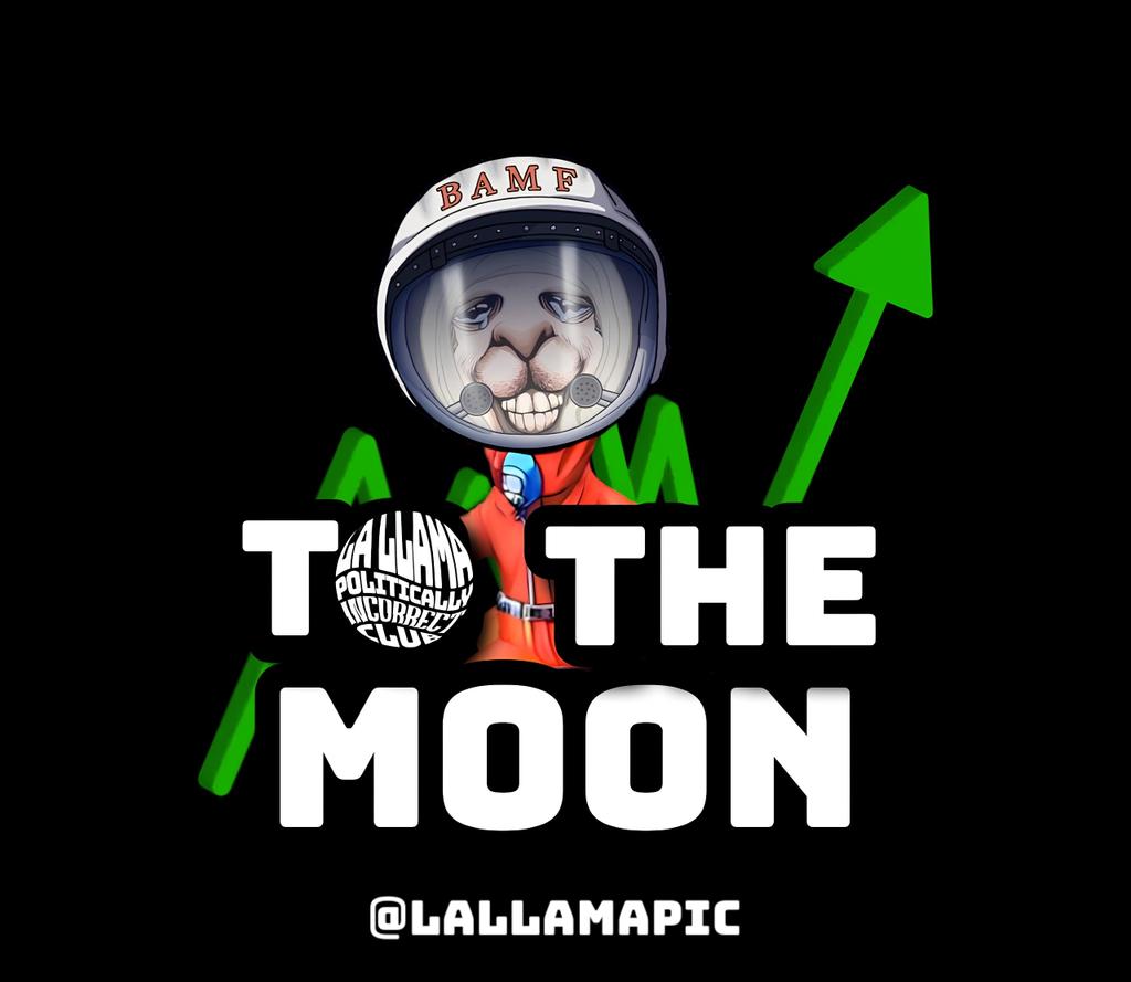 #LaLlamaPIC 🦙🔥🚀