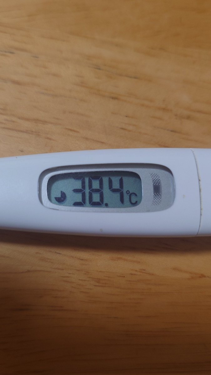 ぼらぎ tweet media