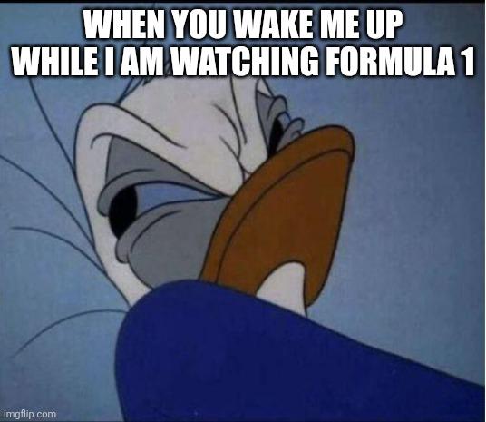 F1 TROLL (@f1trollofficial) on Twitter photo 
