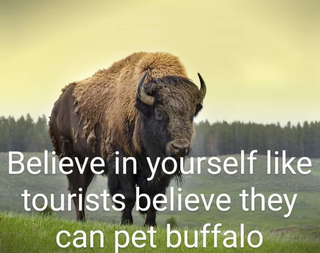 @LibbyTard6 (@libbytard6) on Twitter photo 