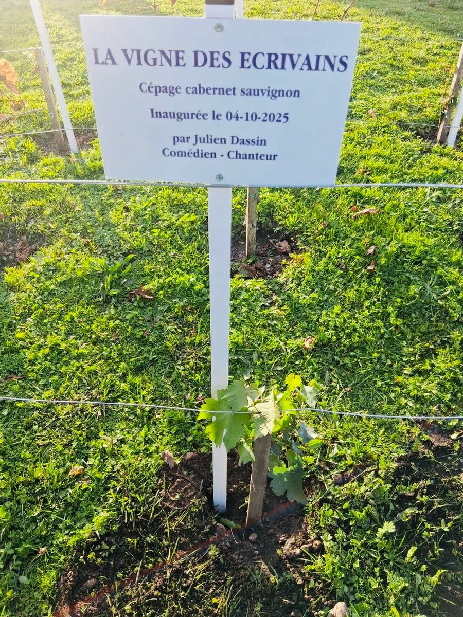 La veille du Salon du Livre de Saint-Estèphe dont je suis l'invité d'honneur, j'ai planté un pied de vigne dans les fameuses vignes des écrivains.
#JulienDassin #saintestephe #salondulivre #planterunarbre #joedassinstory #vignoble #gironde #Bestseller #succèslibrairie