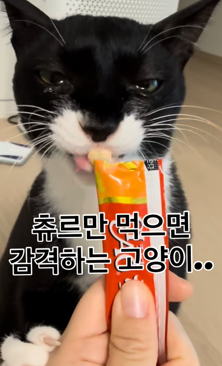 유쓰 tweet media