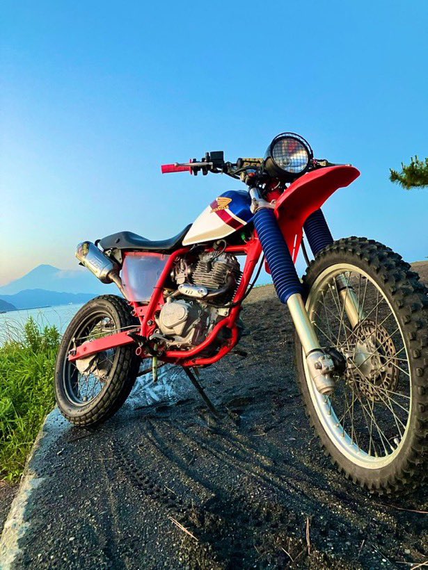 Deguhaya1's tweet image. 今日コンビニ行く用ftr223でモトビ走りました。
ウープスは速いしs字も速い、
テーブルトップはスクラブチックに行かないと早くは無いね。
全日本予選通過しないレベルのmxIBクラスとバトル出来る速さ（笑）
ノリフミ良いがノーマルクラッチが滑る
＃ノリフミ　#ftr230 ＃モトビ　＃モトクロス