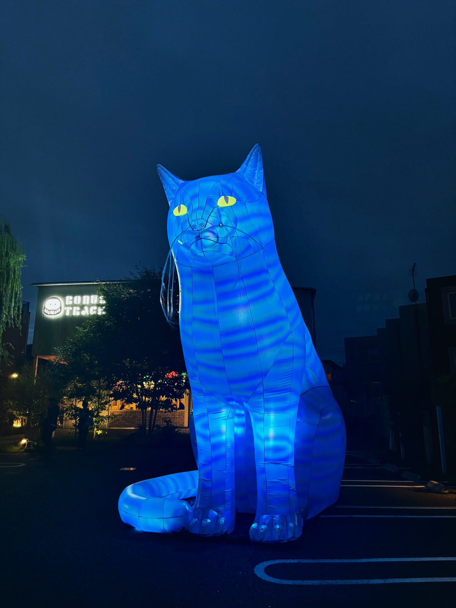 猫語の先生 on X: 