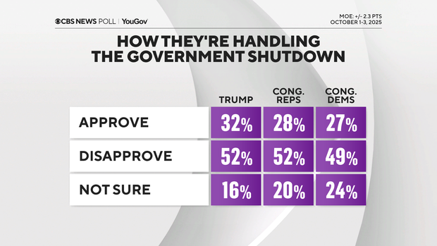 STEW 🇺🇸🐶 ⚾️ 🏝️ tweet media